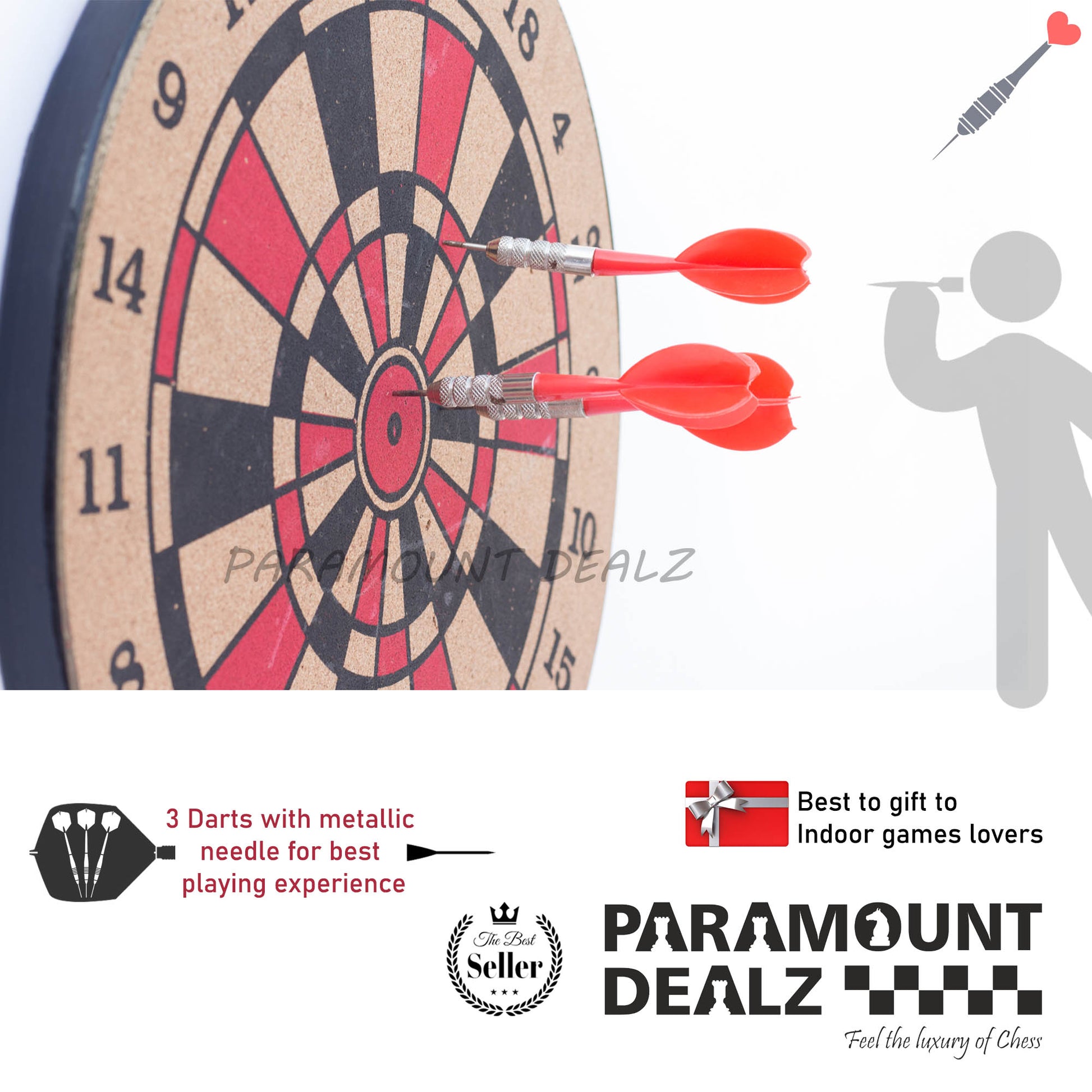 Professional Dart Board