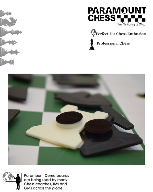 Magnetic Wall hanging demo board with Magnetic coins and Vinyl drawstring pouch