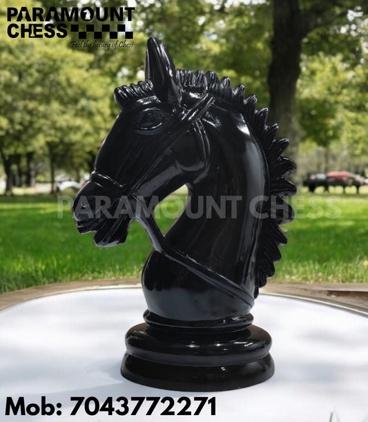 ♟ Paramount Bridle Knight Series – 30
